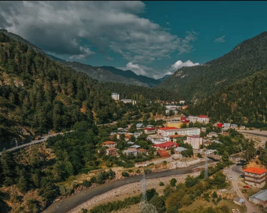 სოფლად მცხოვრები ქალების სოციალურ-ეკონომიკური გაძლიერება