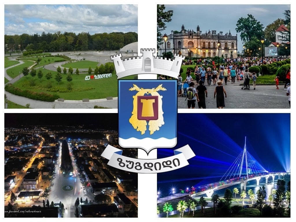 ზუგდიდის მუნიციპალიტეტის ტერიტორიაზე რეგისტრირებული ახალგაზრდებისთვის ახალგაზრდული პროექტების დაფინანსების და თანადაფინანსების პროგრამა